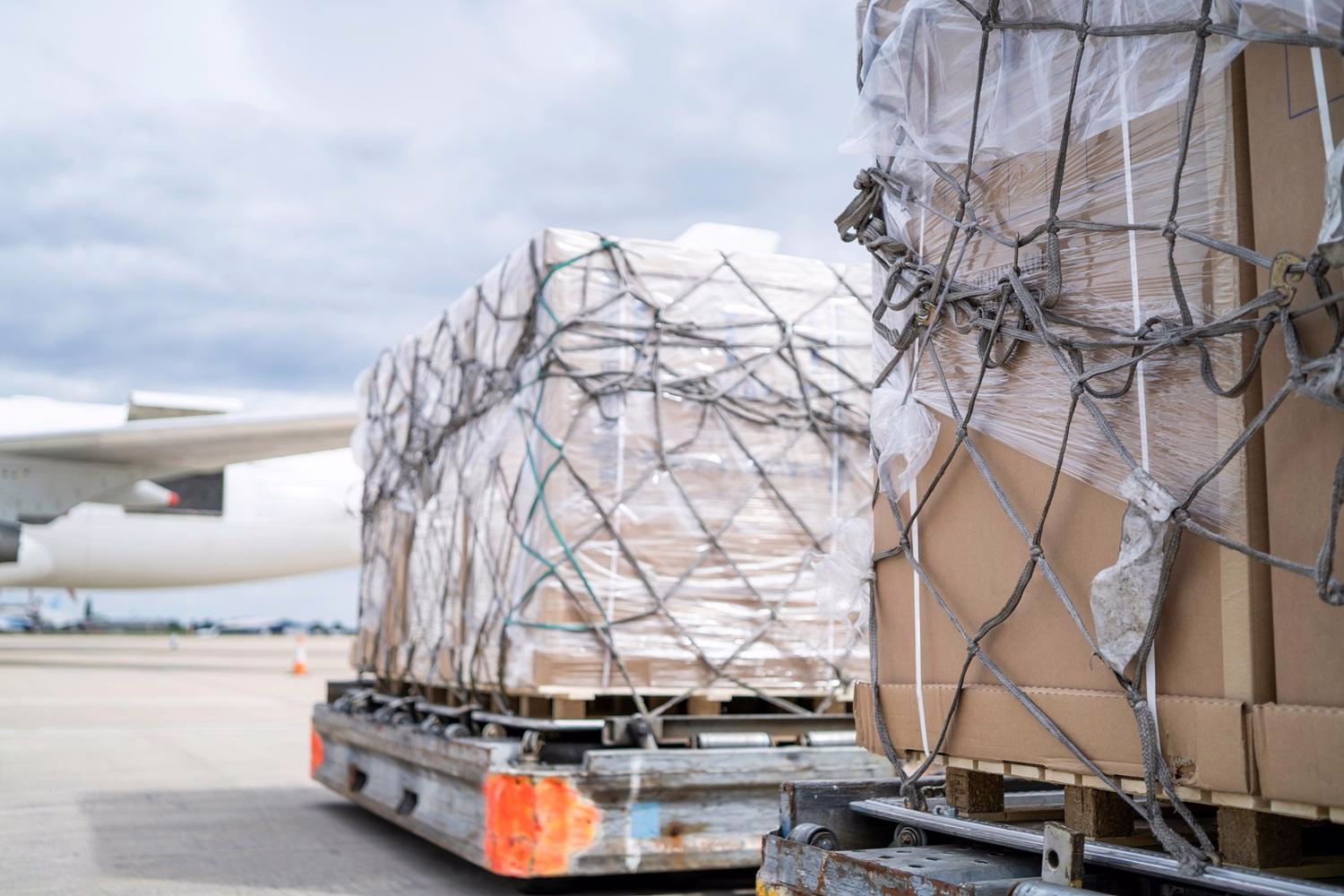 Ezhou Shunjia Aviation Ground Service Earns Four IATA CEIV Certifications