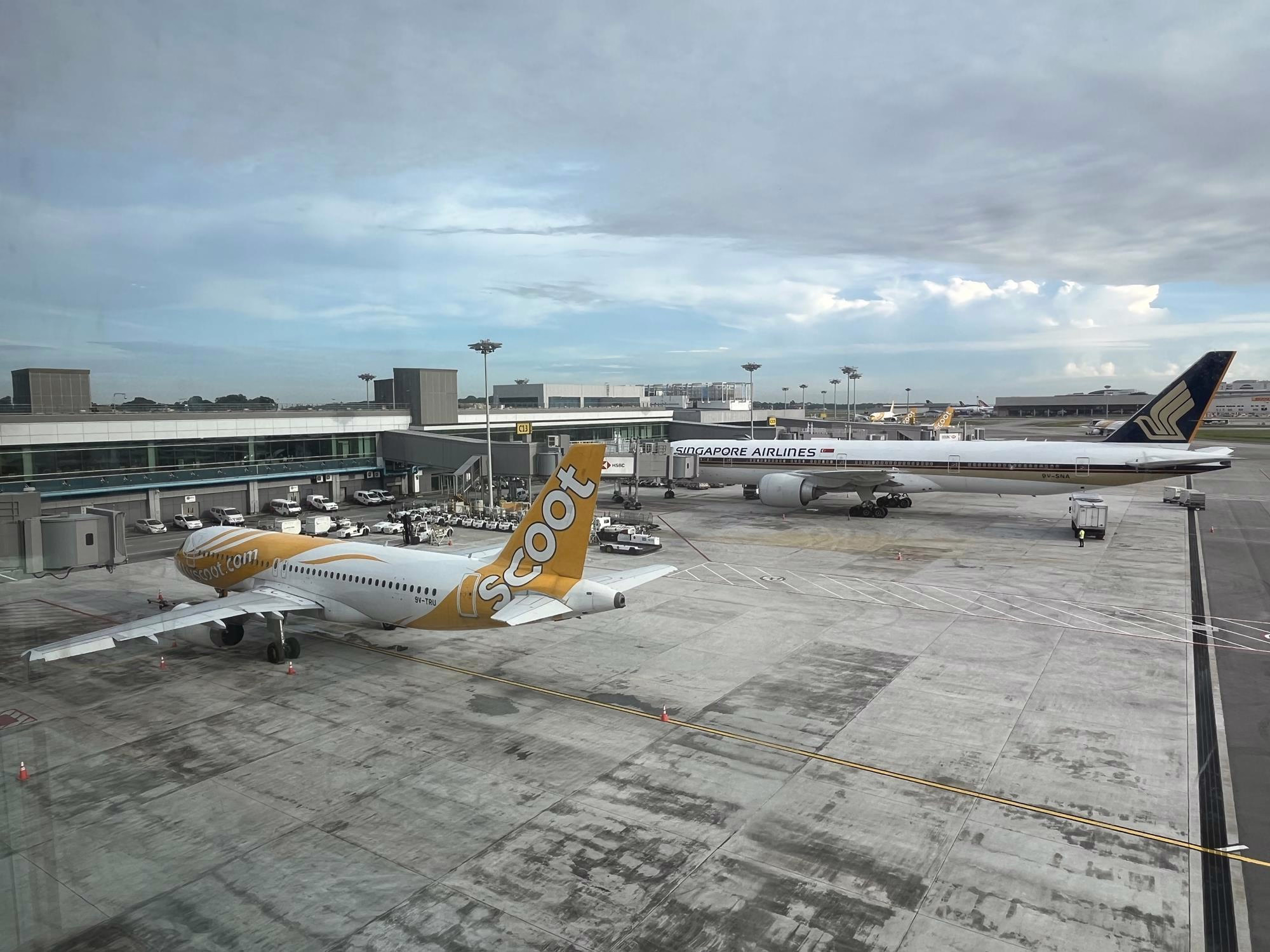 Scoot Launches Daily Singapore Flights to Tokyo Haneda, Shaping Asia’s Aviation Market
