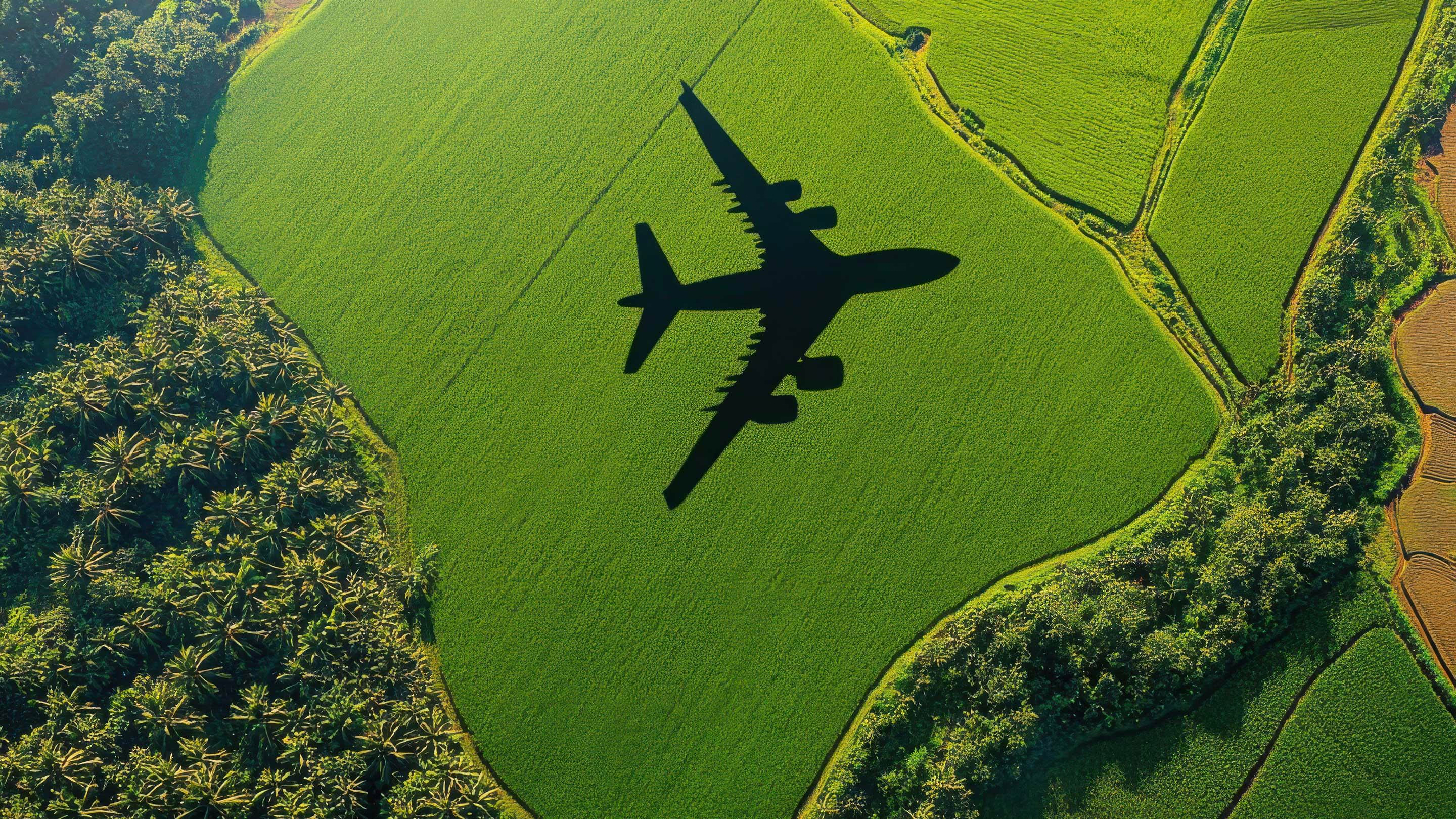 Aerial Survey Flight Cut Short Due to Fuel Shortage