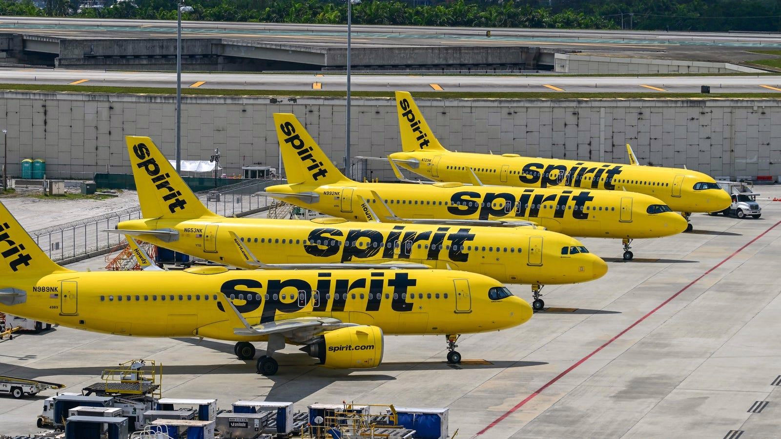 AI Startup Offers $12.5 Million for Spirit Aviation Data