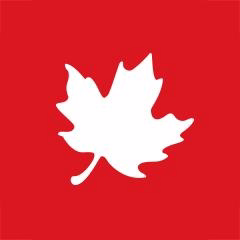 Global Aviation Market Projected to Reach $524 Billion by 2030