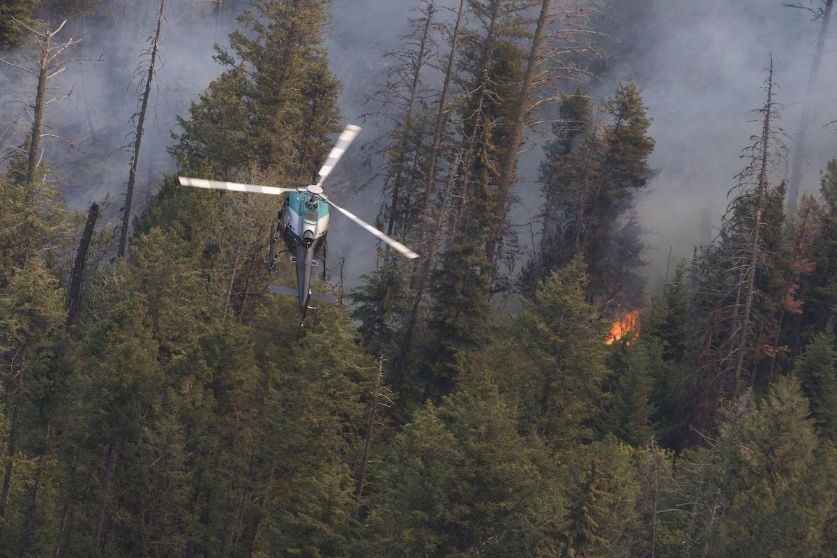 Canada Leases 10 New Aircraft Ahead of Wildfire Season