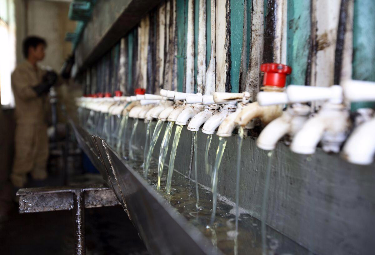 Top green jet fuel producer linked to suspect waste-oil supply chain