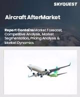 Aircraft Aftermarket: Market Size and Share Analysis
