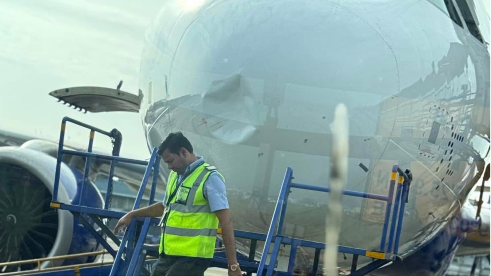 Nagpur Flight Returns After Bird Strike; AI Team Inspects Engines