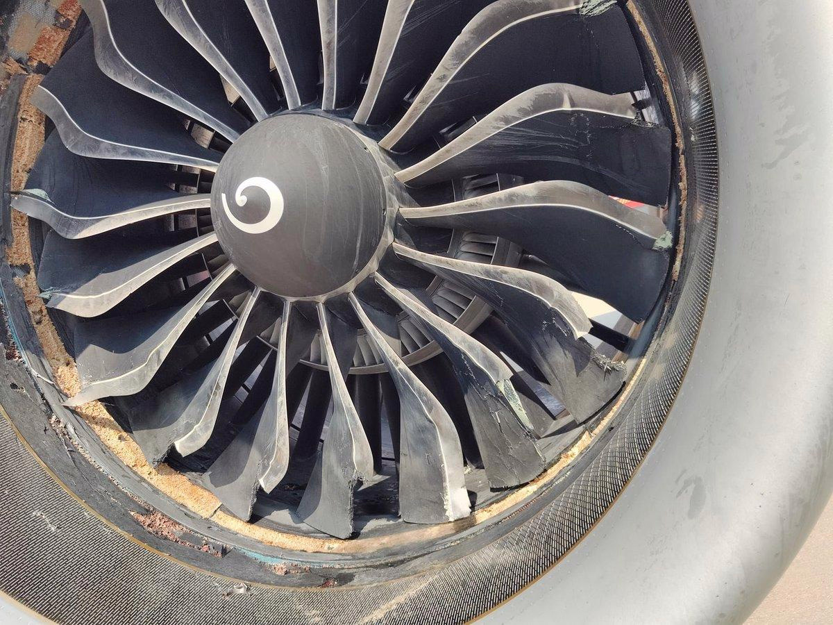 Iberia A321XLR Sustains Engine Damage from Bird Strike, Returns to Madrid