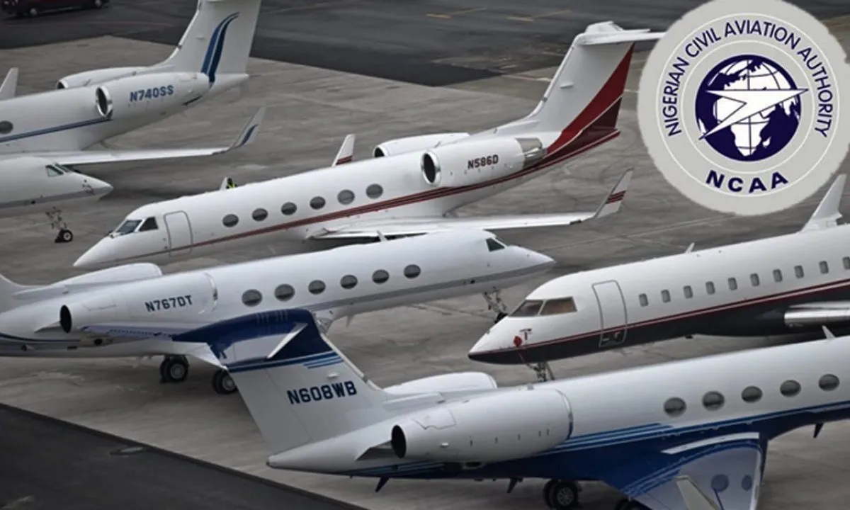 NCAA Approves Aircraft Maintenance License for Flybird