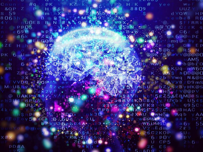 Human Leadership in Focus