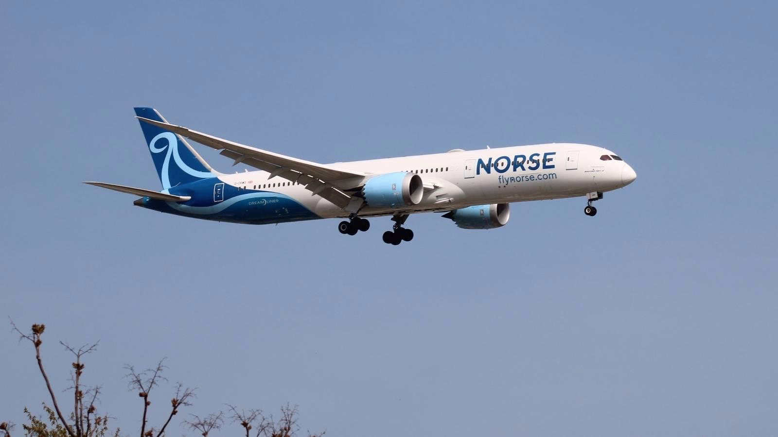 Norse Reports Strong Revenue Growth in First Quarter